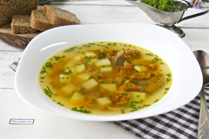 Суп с лисичками и курицей — рецепт с фото пошагово. Как сварить куриный суп с лисичками (свежими)?